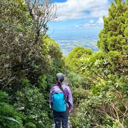 Making the long 4 mile descent back to the car. Stairs and boardwalk the entire way