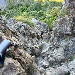 Chris completed the rock scramble to the peak near the coast