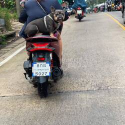 die kenned da gar nüt 😂😎