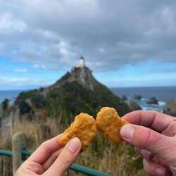 Nugget Point! 😂