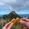 Nugget Point! 😂