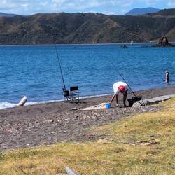 Fishing at Seatoun