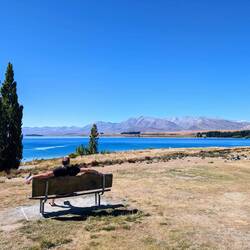 Lake Tekapo