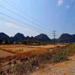 Irgendwo am Loop einer der vielen Ausblicke.