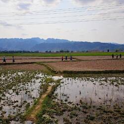 Glückstreffer. Die Arbeiter machen sich gerade bereit.