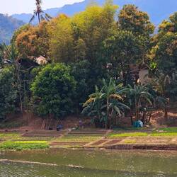 Perfekte Lage eines Gartens am Bach.