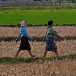 Heute werden sie aber nicht mehr fertig bei der gigantischen Fläche.