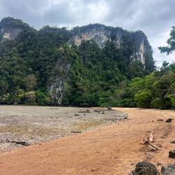 Realität ‼️‼️‼️