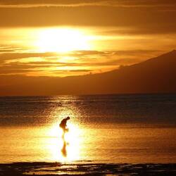 Eins der 127 Sonnenuntergangsbilder von diesem Strand.