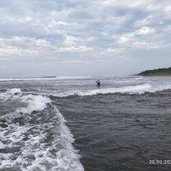 Dem habe ich es gleich getan, leider noch nichts...