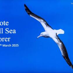 Sara puts up a photo from the current day at the start of the daily recap ... Wandering Albatross.
