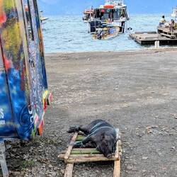Different cultures but distressing just the same. He/she is alive.