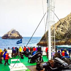 No landings possible at Shag Rocks ... nor will we likely see them so clearly.