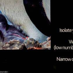 Good advice from Sara's photography presentation.