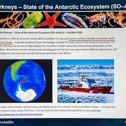 Detail of the South Orkneys SO-AntEco project.