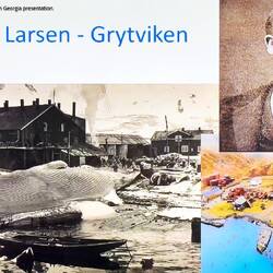 Grytviken whaling station operated for 60 years; 175,000 whales hunted & processed.