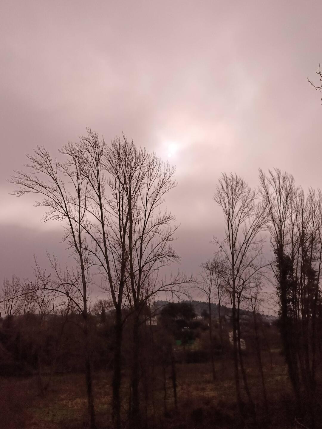 Nebel... nichts als Nebel, aber die Sonne versucht es...