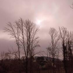 Nebel... nichts als Nebel, aber die Sonne versucht es...