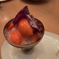 Rose sorbet with brut rose