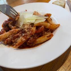 Bolognese
