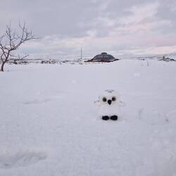 Bubo hat sich auch an die Kälte gewagt... das Erste mal unter 0° 😅