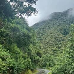 Parque Nacional de Manú