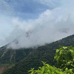Parque Nacional de Manú