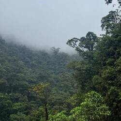 Parque Nacional de Manú