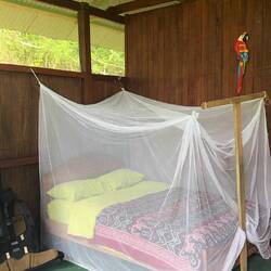 Albergue Turístico EcoManu Lodge