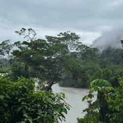 Parque Nacional del Manú