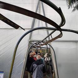 Die gepflückten Rosen werden in Bündeln verpackt und mit dieser "Bahn" zur Verladung gebracht