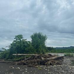 Parque Nacional del Manú