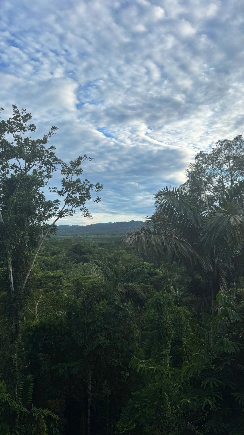 Parque Nacional del Manú