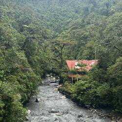 Parque Nacional del Manú
