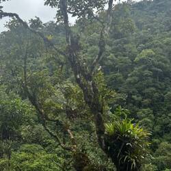 Parque Nacional del Manú