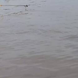 Tonie Sap floating village