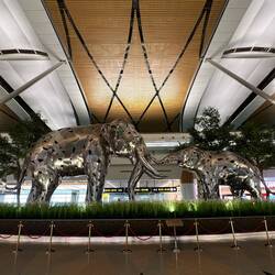 Am Flughafen Bangkok