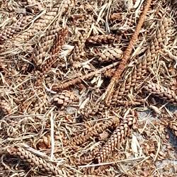 Etwas Landart