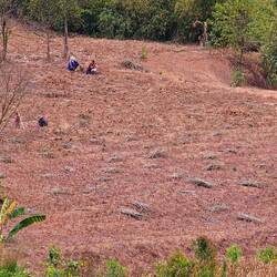 Und es wird auch brav geschuftet am Morgen.