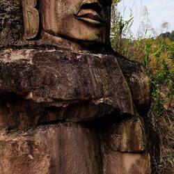 Schaut so irre aus. Direkt aus dem Felsen.