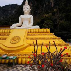 Wat Pa Pha Nang Rong