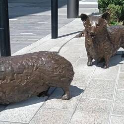 Queen Elizabeth's corgis