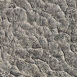 Lovely patterns in the sand