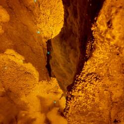 First peak at glowworms! There's mucous strings hanging from the glowworms that catch bugs to eat