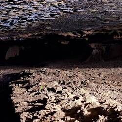 Dragon Cave. Zuerst nur 1.5m hoch.
