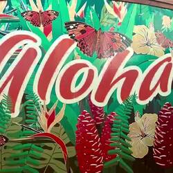 Kleiner Videoeinblick