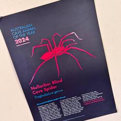 Australien halt...😝