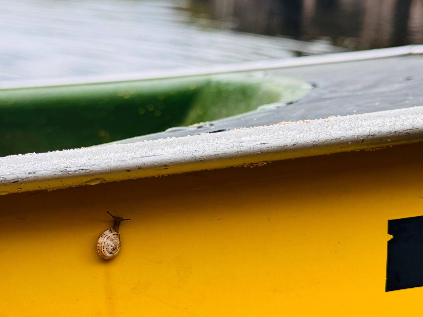 Blinder Kanu – Passagier…