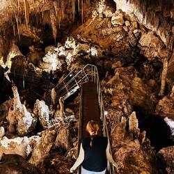 Aber zuerst mal: ab in die Mammoth Cave…