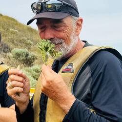 Touri-Schnüffler: wilder Rosmarin...oder so...😝